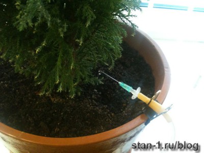 Автоматический полив комнатных растений из аппарата для переливания крови